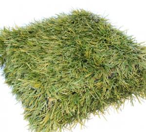 grass-box